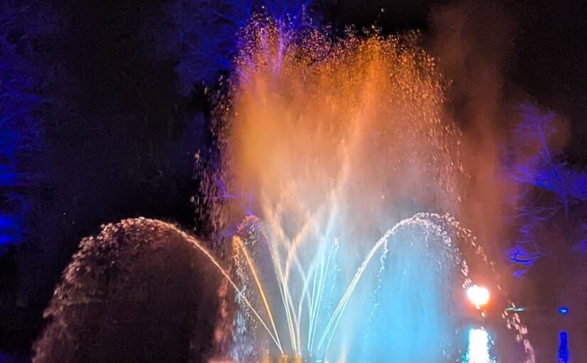 Wir wünschen allen Schülern, Eltern, Lehrern und Partnern ein glückliches & gesundes neues Jahr!